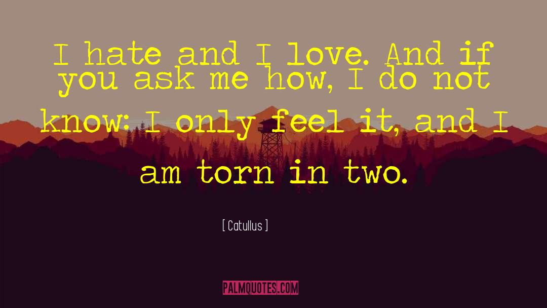 Catullus Quotes: I hate and I love.