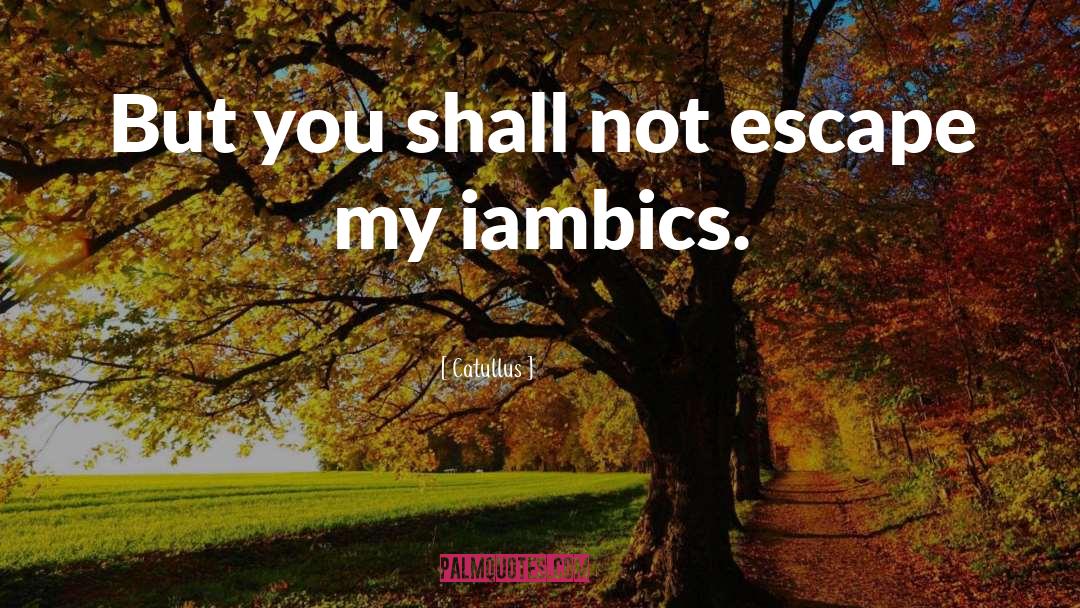 Catullus Quotes: But you shall not escape