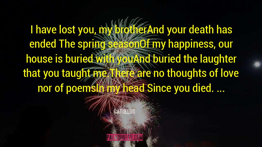 Catullus Quotes: I have lost you, my