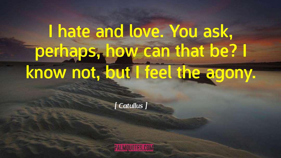 Catullus Quotes: I hate and love. You