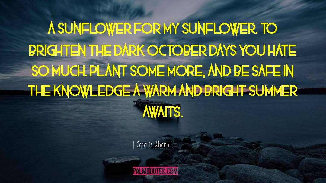 Cecelia Ahern Quotes: A sunflower for my sunflower.