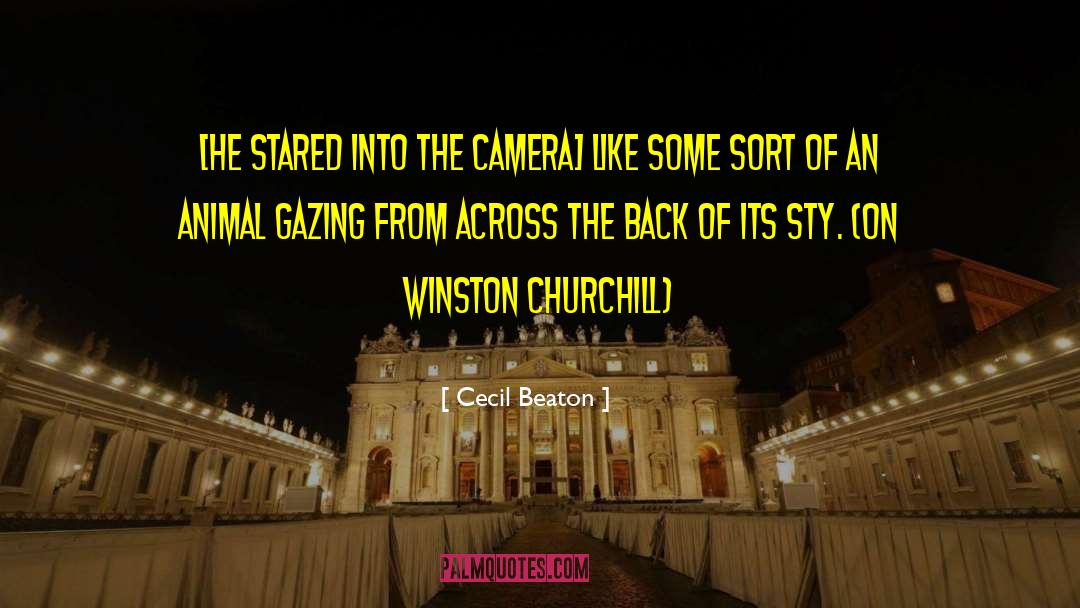 Cecil Beaton Quotes: [He stared into the camera]