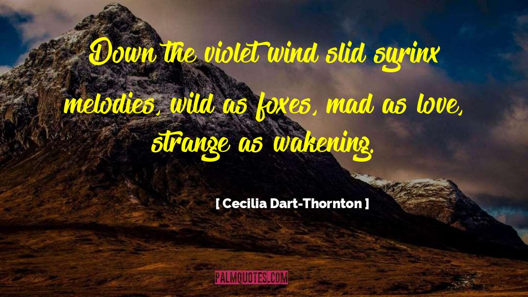 Cecilia Dart-Thornton Quotes: Down the violet wind slid