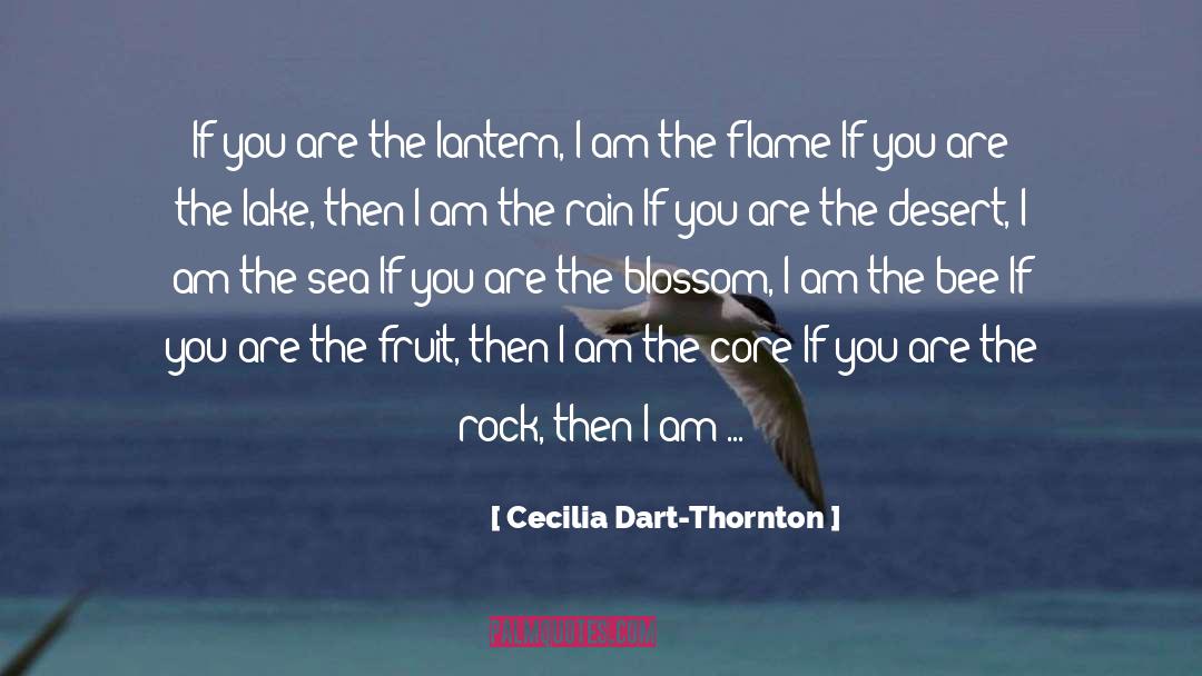 Cecilia Dart-Thornton Quotes: If you are the lantern,
