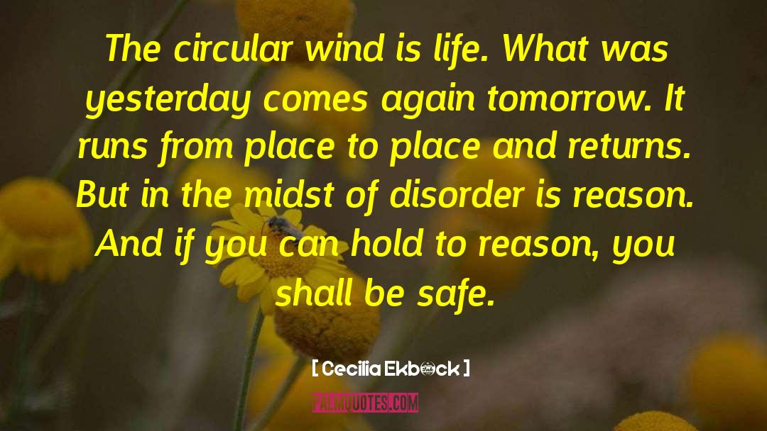 Cecilia Ekbäck Quotes: The circular wind is life.
