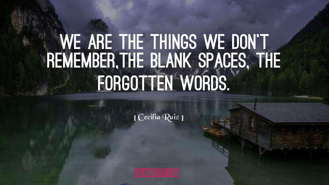 Cecilia Ruiz Quotes: We are the things we