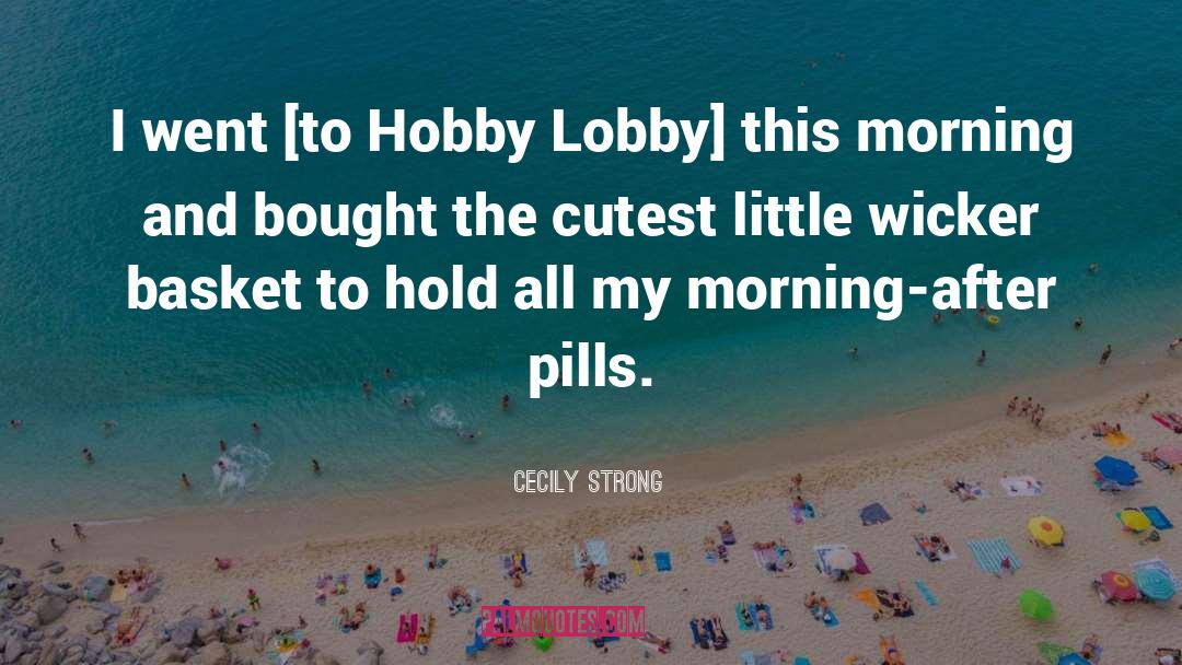 Cecily Strong Quotes: I went [to Hobby Lobby]