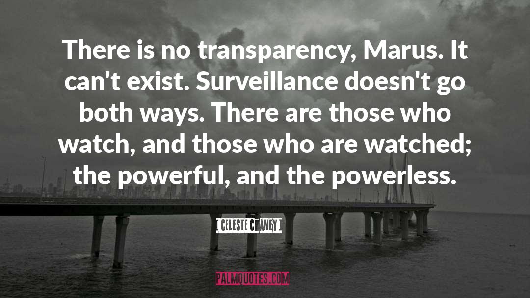 Celeste Chaney Quotes: There is no transparency, Marus.