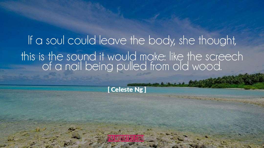 Celeste Ng Quotes: If a soul could leave