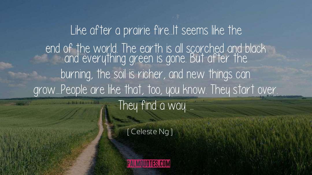 Celeste Ng Quotes: Like after a prairie fire...It