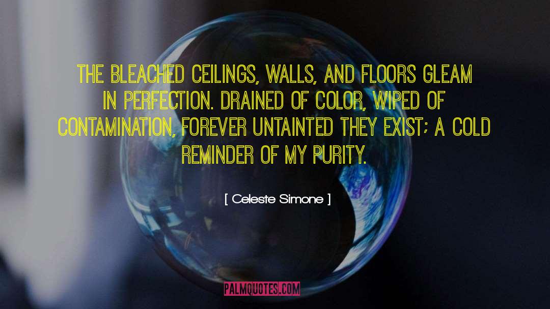 Celeste Simone Quotes: The bleached ceilings, walls, and