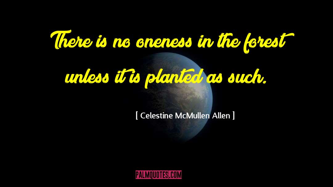 Celestine McMullen Allen Quotes: There is no oneness in