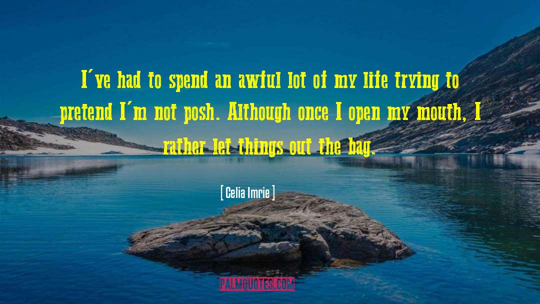 Celia Imrie Quotes: I've had to spend an