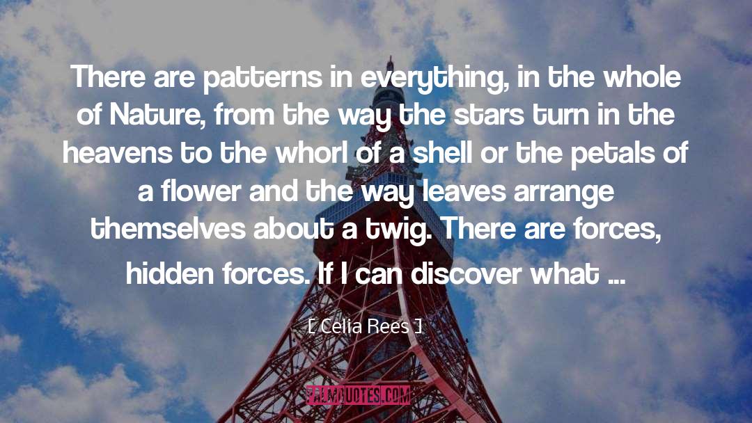 Celia Rees Quotes: There are patterns in everything,