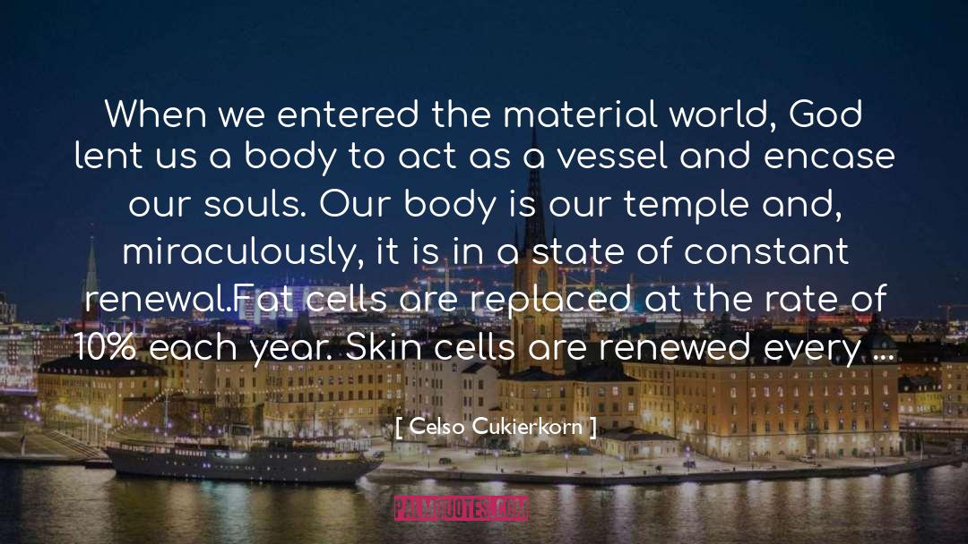 Celso Cukierkorn Quotes: When we entered the material