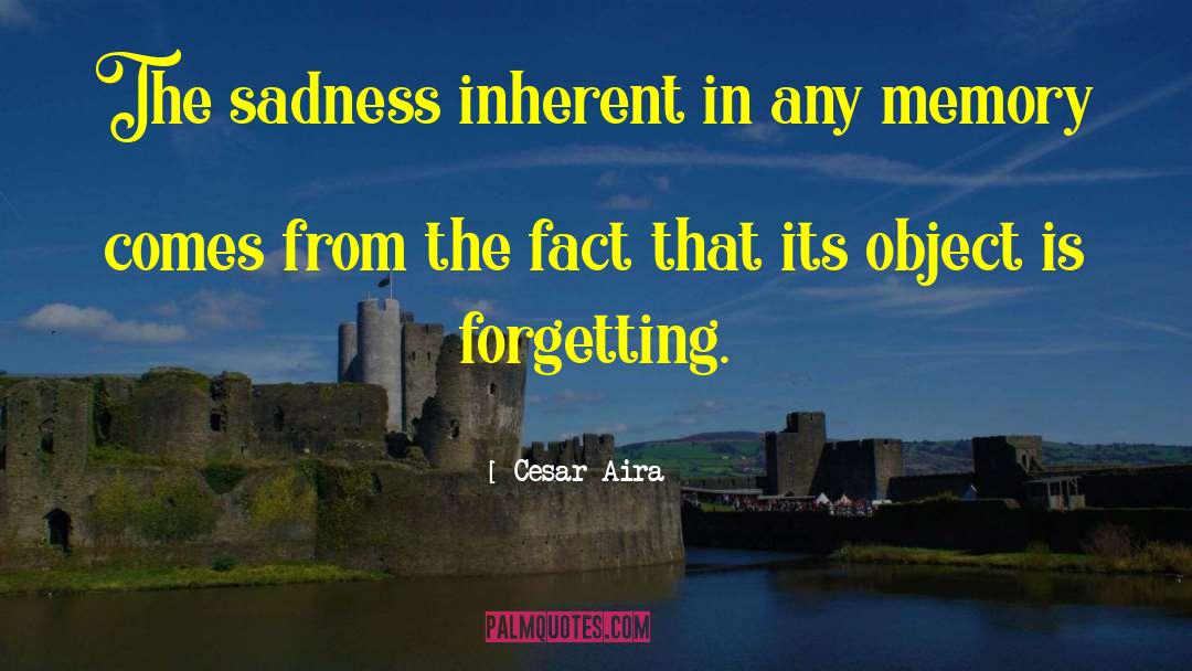 Cesar Aira Quotes: The sadness inherent in any