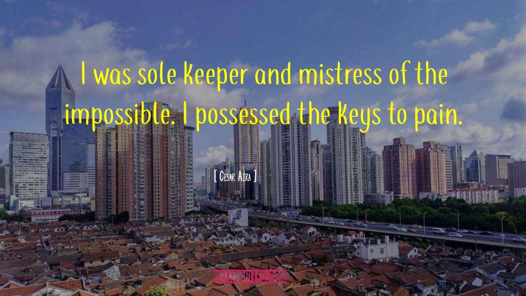 Cesar Aira Quotes: I was sole keeper and