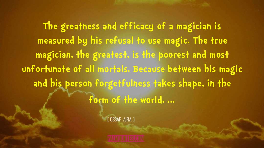 Cesar Aira Quotes: The greatness and efficacy of