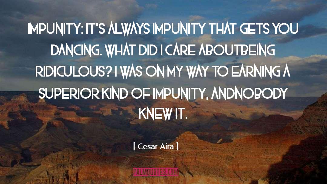 Cesar Aira Quotes: Impunity: it's always impunity that