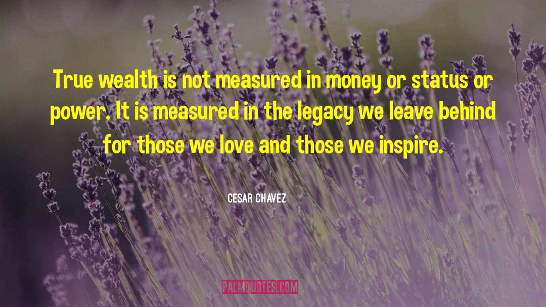 Cesar Chavez Quotes: True wealth is not measured