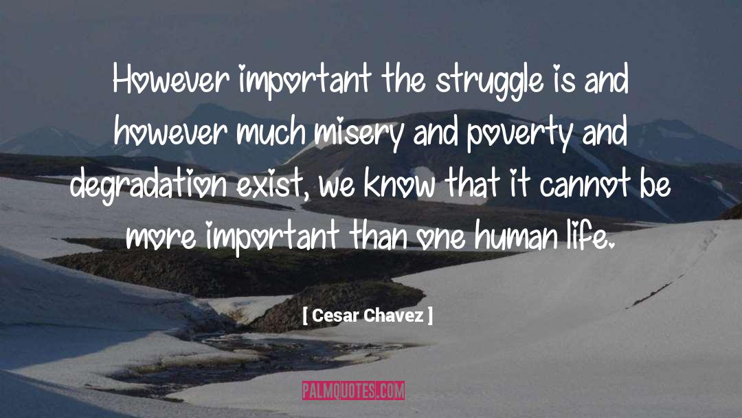 Cesar Chavez Quotes: However important the struggle is