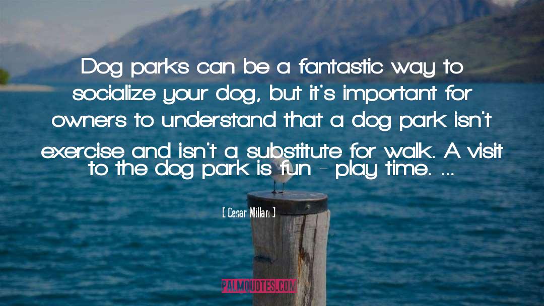 Cesar Millan Quotes: Dog parks can be a