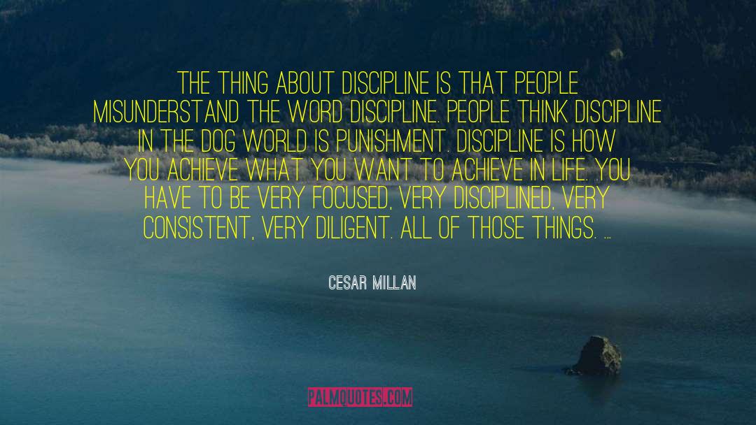 Cesar Millan Quotes: The thing about discipline is