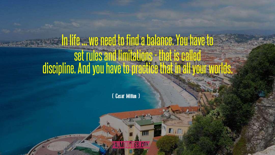 Cesar Millan Quotes: In life ... we need