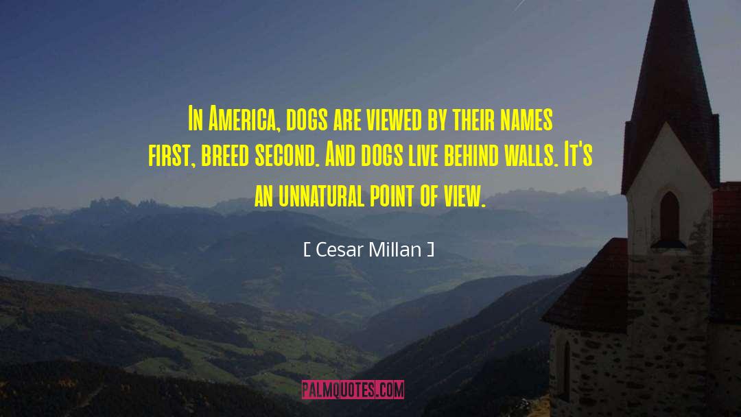 Cesar Millan Quotes: In America, dogs are viewed
