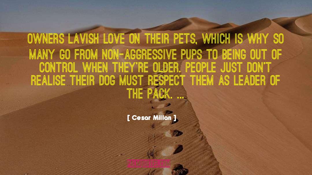 Cesar Millan Quotes: Owners lavish love on their