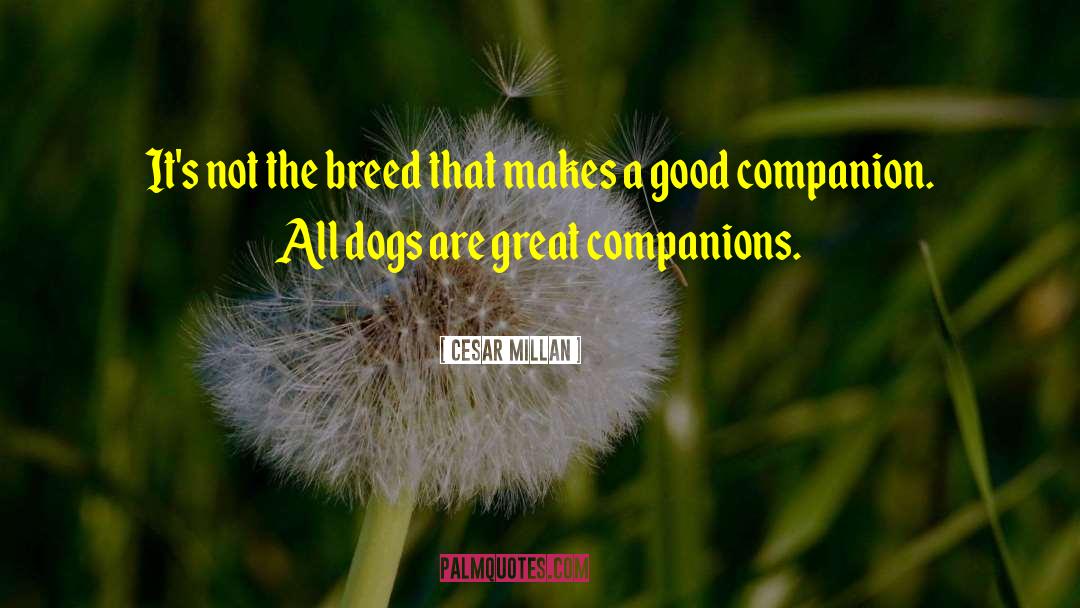 Cesar Millan Quotes: It's not the breed that