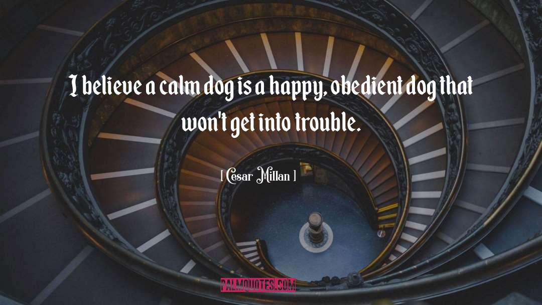 Cesar Millan Quotes: I believe a calm dog