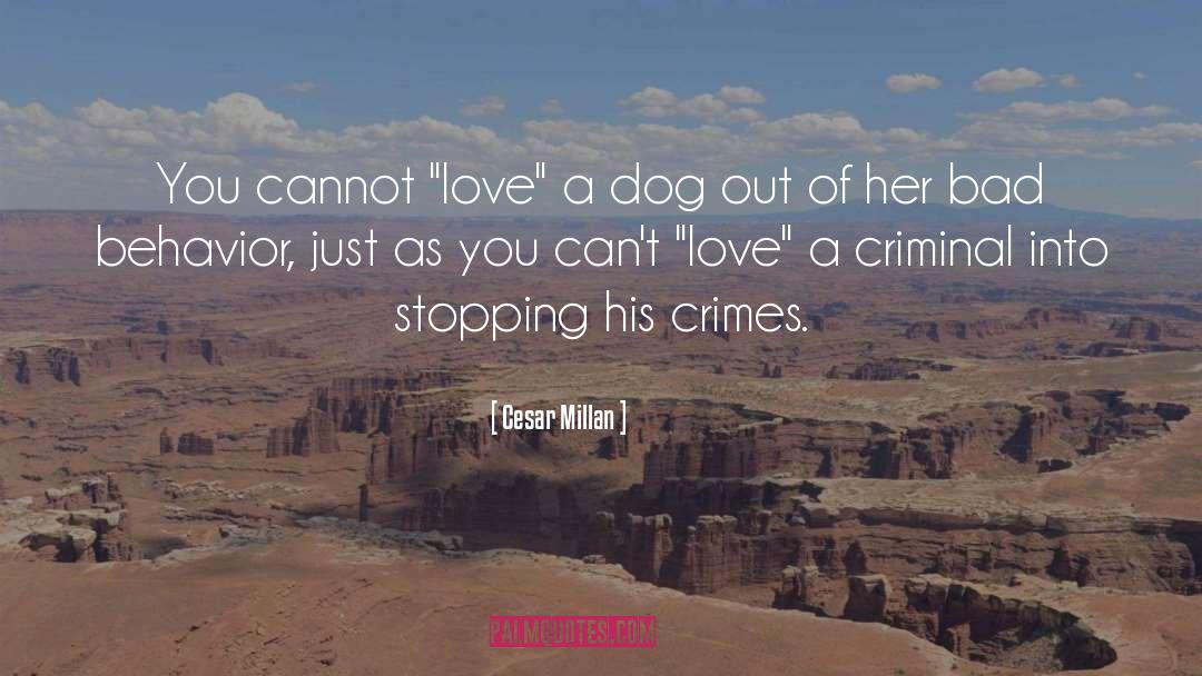 Cesar Millan Quotes: You cannot 