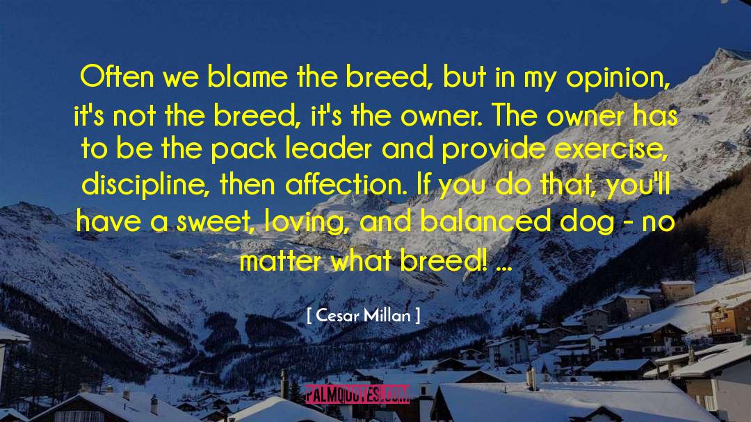 Cesar Millan Quotes: Often we blame the breed,