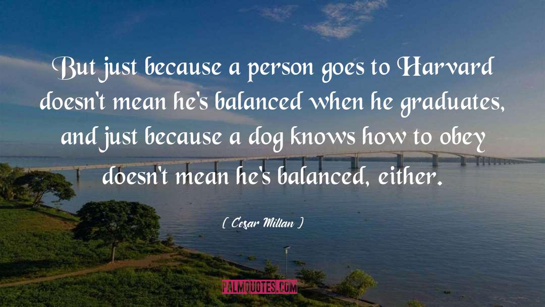 Cesar Millan Quotes: But just because a person