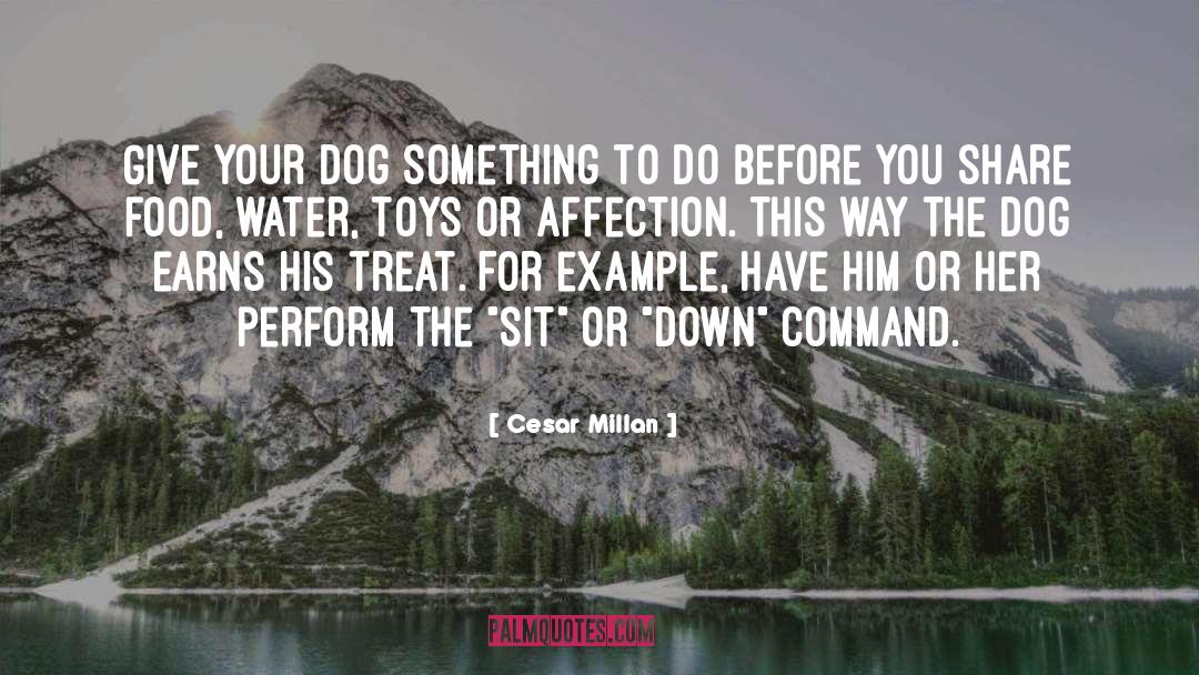 Cesar Millan Quotes: Give your dog something to