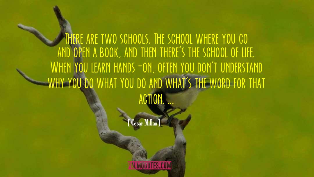 Cesar Millan Quotes: There are two schools. The