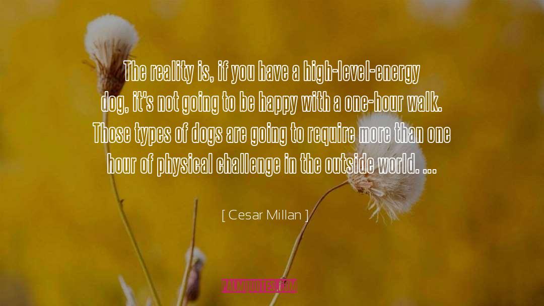 Cesar Millan Quotes: The reality is, if you