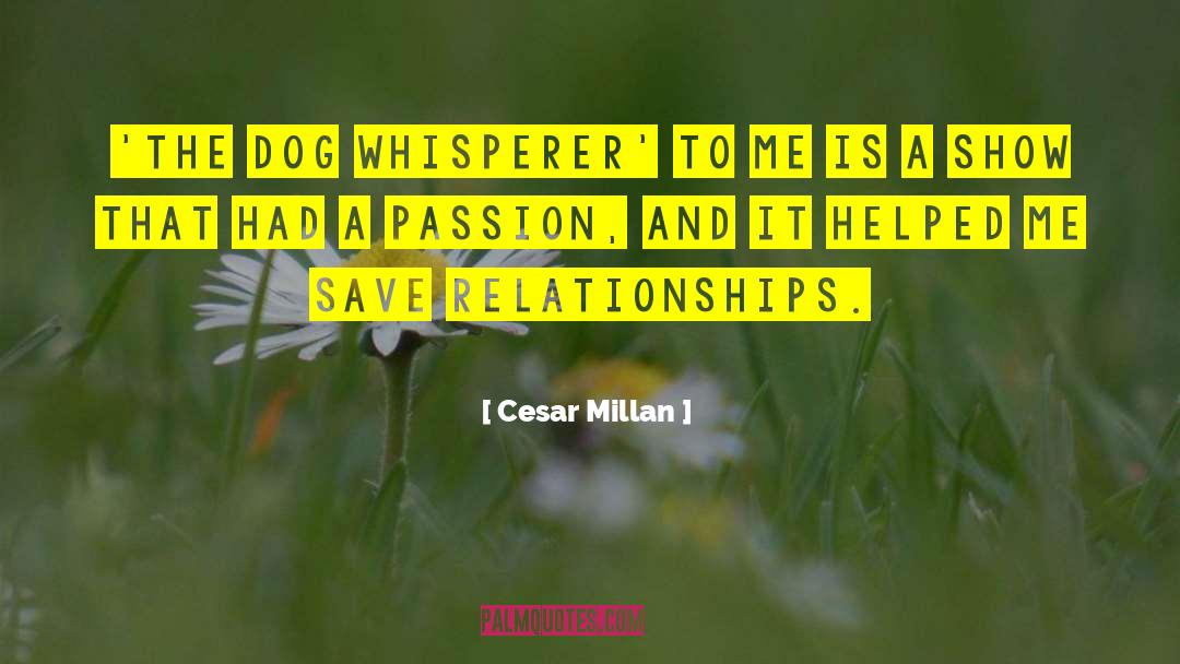 Cesar Millan Quotes: 'The Dog Whisperer' to me