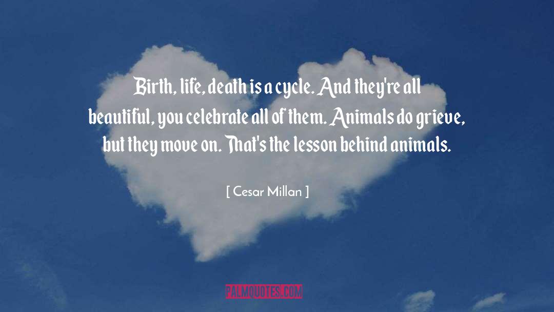 Cesar Millan Quotes: Birth, life, death is a