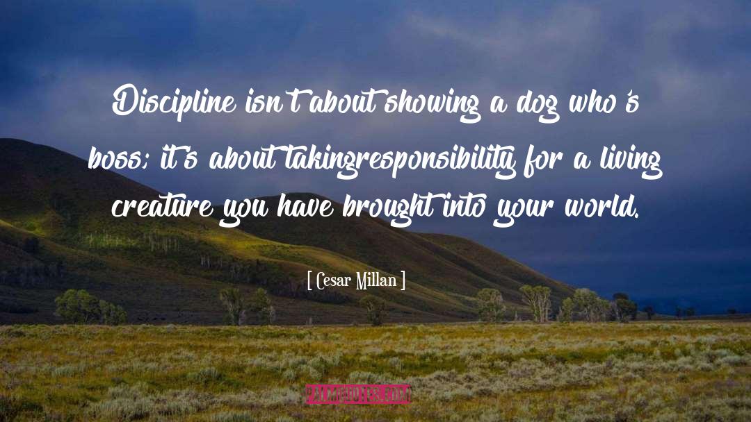 Cesar Millan Quotes: Discipline isn't about showing a