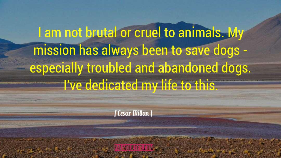 Cesar Millan Quotes: I am not brutal or