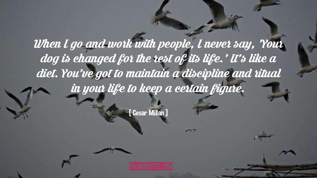 Cesar Millan Quotes: When I go and work