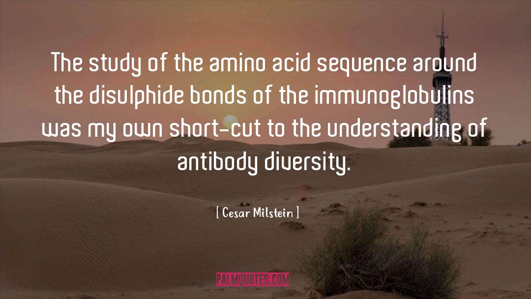 Cesar Milstein Quotes: The study of the amino