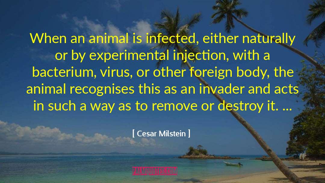Cesar Milstein Quotes: When an animal is infected,