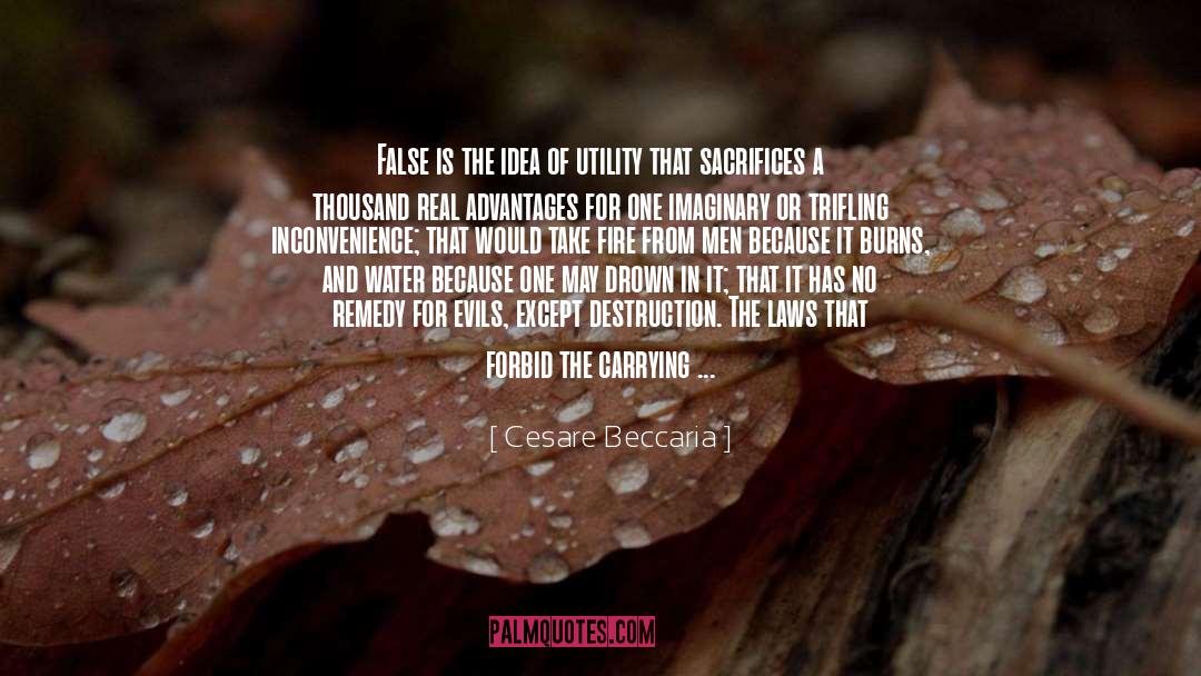 Cesare Beccaria Quotes: False is the idea of