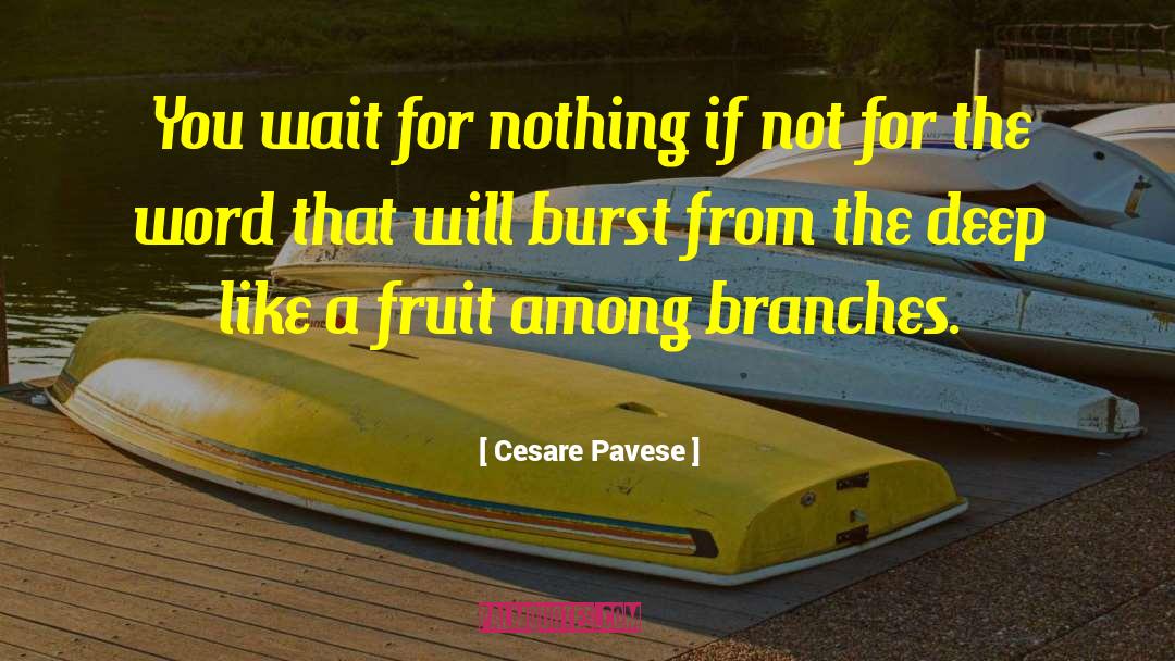 Cesare Pavese Quotes: You wait for nothing if