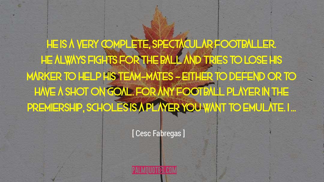 Cesc Fabregas Quotes: He is a very complete,