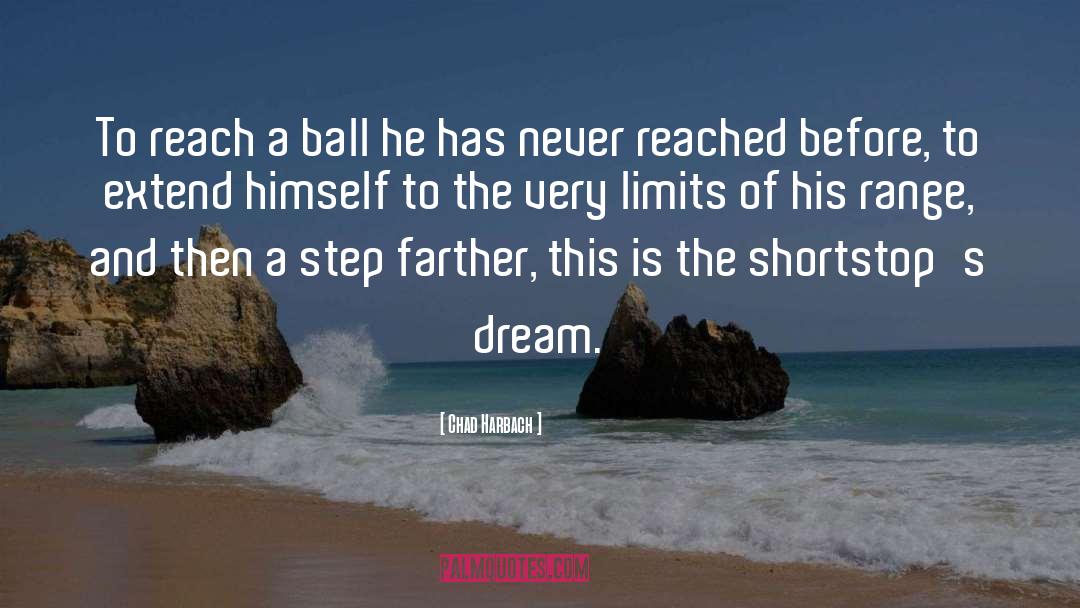 Chad Harbach Quotes: To reach a ball he