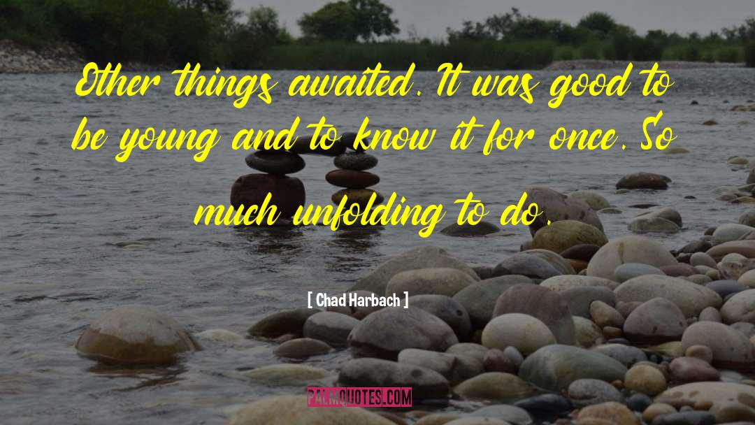 Chad Harbach Quotes: Other things awaited. It was